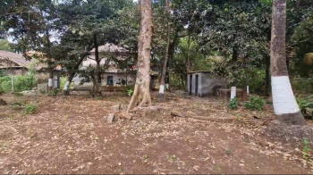Property for sale in Alibag, Raigad