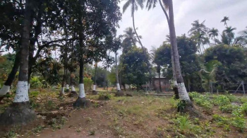 Property for sale in Alibag, Raigad