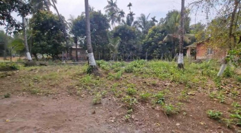 Property for sale in Alibag, Raigad
