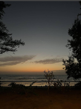 9 Acer clear title land for sale in zirad alibag