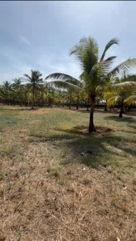 Property for sale in Alibag, Raigad