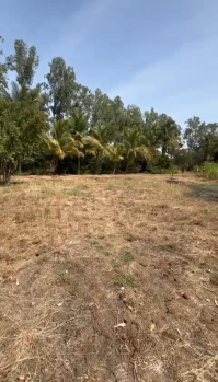 Property for sale in Alibag, Raigad