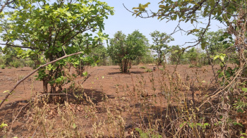 Property for sale in Mahad, Raigad