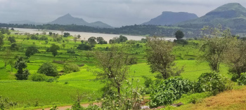 7.5 Acre Agricultural/Farm Land for Sale in Igatpuri, Nashik