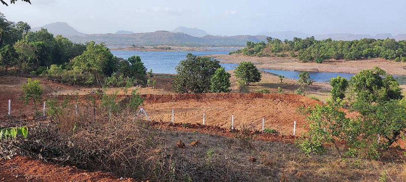 5 Acre Agricultural/Farm Land For Sale In Trimbakeshwar, Nashik