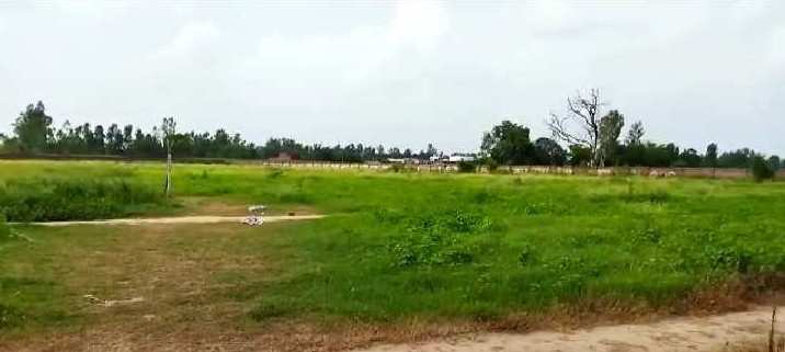 3 Acre Agricultural/Farm Land For Sale In Trimbakeshwar, Nashik
