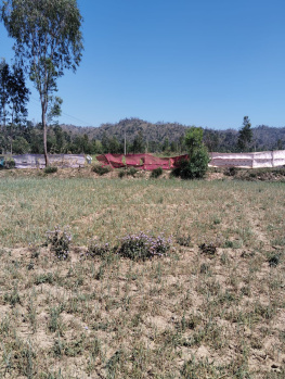 500 Sq. Yards Agricultural/Farm Land for Sale in Saharanpur Road, Dehradun