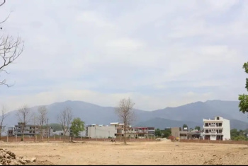 178 Sq. Yards Residential Plot for Sale in Pondha, Dehradun