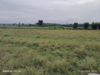 Low budget plots for investment near industrial area selaqui