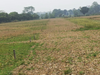 100 Sq. Yards Residential Plot for Sale in Selakui, Dehradun