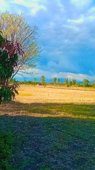 Property for sale in Selakui, Dehradun