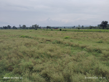 102 Sq. Yards Residential Plot for Sale in Selaqui, Dehradun