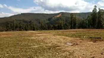 500 Sq. Yards Residential Plot for Sale in Dholas, Dehradun