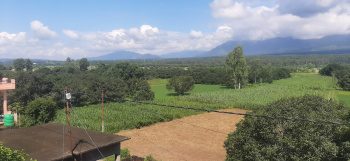 138 Sq. Yards Residential Plot for Sale in Vikas Nagar, Dehradun