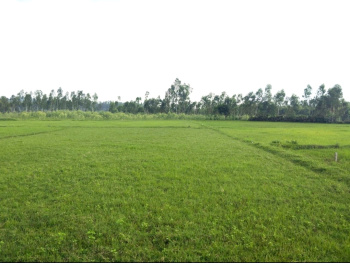 Property for sale in Behat, Saharanpur