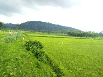 Property for sale in Behat, Saharanpur