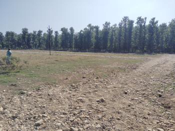 1 RK Residential Plot for Sale in Shimla Bypass Road Shimla Bypass Road, Dehradun (150 Sq. Yards)