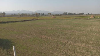 Property for sale in Chharba, Dehradun