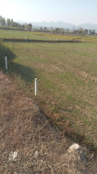 Property for sale in Chharba, Dehradun