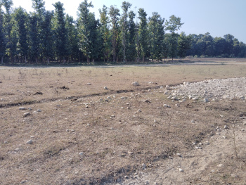 Residential Plot for Sale in Shimla Bypass, Dehradun (133 Sq. Yards)