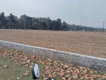 Residential Plot for Sale in Shimla Bypass Road Shimla Bypass Road, Dehradun (188 Sq. Yards)
