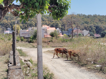 Property for sale in Doonga, Dehradun