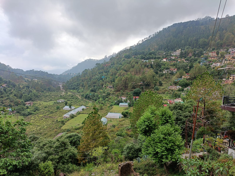8640 Sq.ft. Residential Plot for Sale in Bhowali, Nainital
