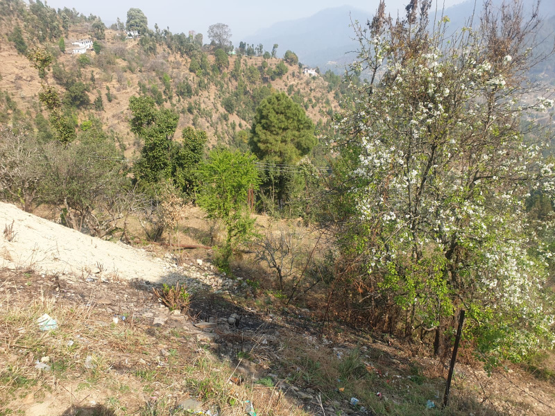 Himalaya view land near Mukteshwar