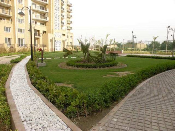 3 BHK Flats & Apartments for Rent in Sector 104, Noida (1300 Sq.ft.)