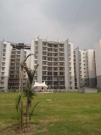 3 BHK Flats & Apartments for Sale at  Sector-93A, Noida (1911 Sq.ft.)
