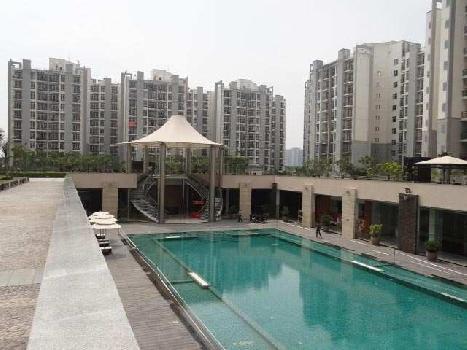 3 BHK Flats & Apartments for Rent in Sector 93b, Noida (1911 Sq.ft.)