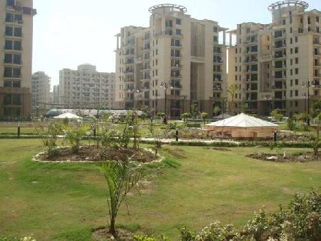 2 BHK Flats & Apartments for Sale at  Sector 93, Noida (1135 Sq.ft.)