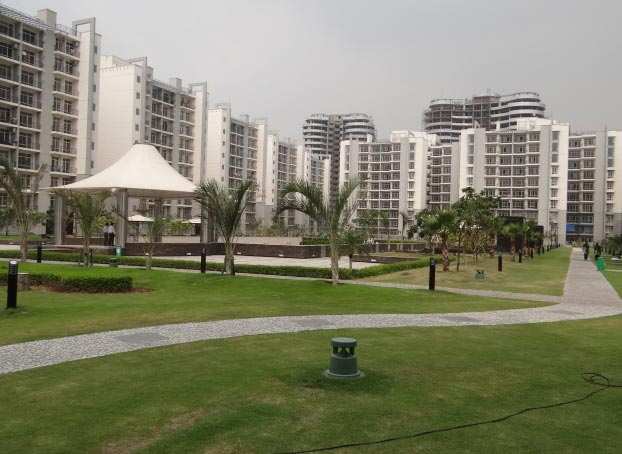 3 BHK Flats & Apartments for Sale in Noida Expressway, Noida (2700 Sq.ft.)