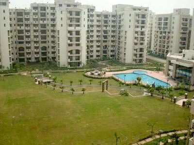 3 BHK Flat for rent at Noida