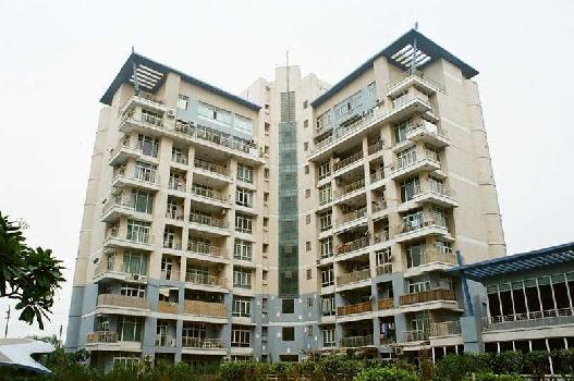 4 BHK Flats & Apartments for Sale in Sector 50, Noida (2175 Sq.ft.)