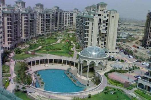 3 BHK Flats & Apartments for Rent in Sector 93b, Noida