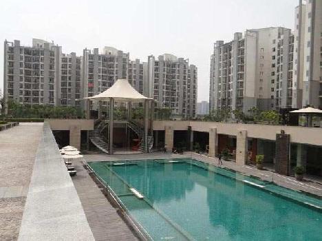2 BHK Flats & Apartments for Rent in Sector 93b, Noida (1110 Sq.ft.)