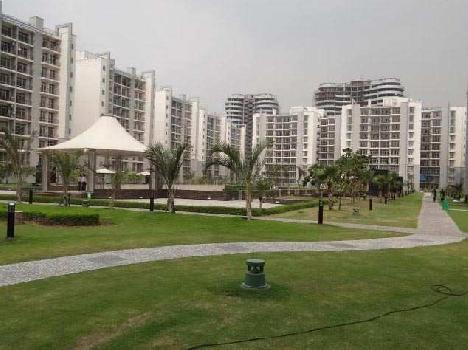 3 BHK Flats & Apartments for Rent in Sector 93b, Noida (1555 Sq.ft.)