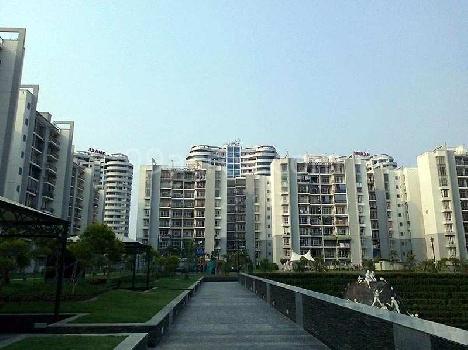 3 BHK Flats & Apartments for Rent in Sector 93b, Noida (1250 Sq.ft.)