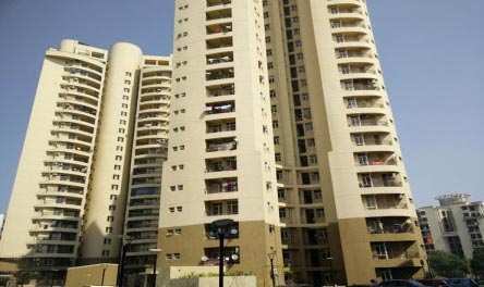3 BHK Flat for rent at Noida