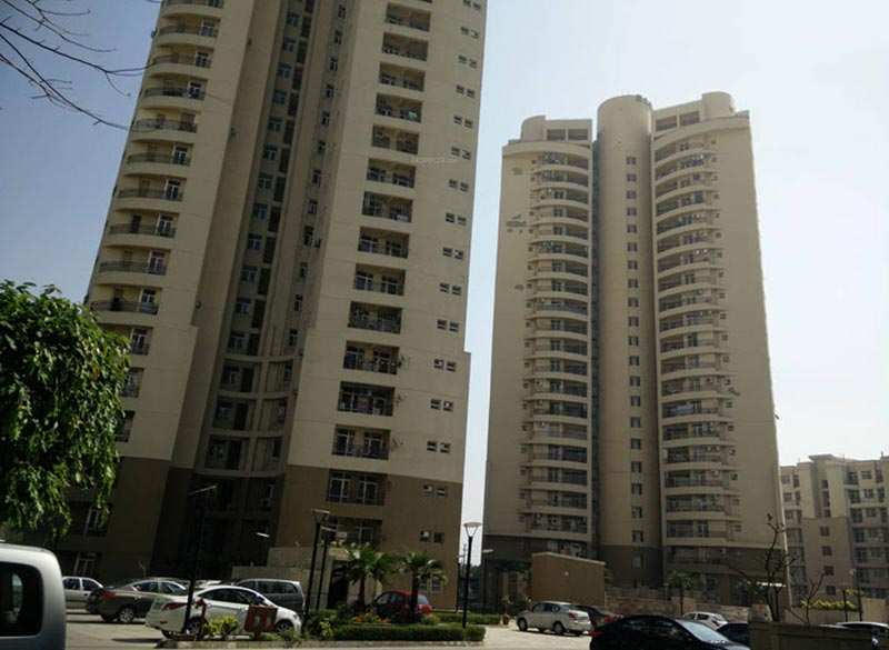 3 BHK Flats & Apartments for Rent in Sector 93a, Noida (1655 Sq.ft.)