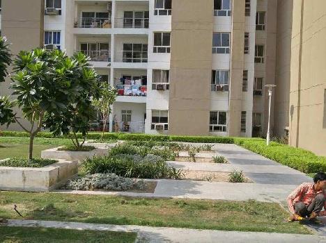 3 BHK Flats & Apartments for Sale in Sector 100, Noida (1263 Sq.ft.)