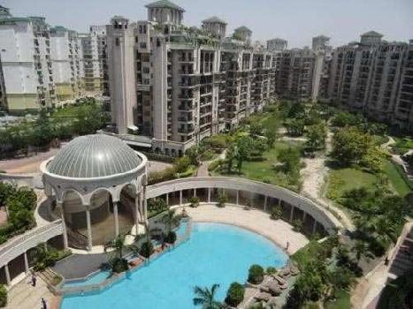 3 BHK Flats & Apartments for Rent in Sector 93a, Noida (1300 Sq.ft.)