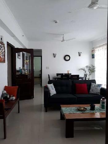 3 BHk Apartment for Rent in Sector 104 Noida