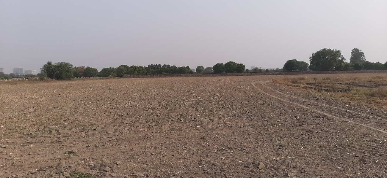 Farm Land In Kangan Heri (2.91 Acre)