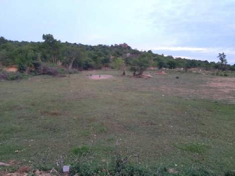 12 Acre Agricultural/Farm Land for Sale in Mahabubnagar, Hyderabad