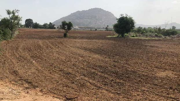 23 Acre Agricultural/Farm Land for Sale in Kalwakurthy, Mahbubnagar