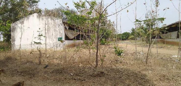 1.10 Acre Agricultural/Farm Land for Sale in Mahabubnagar, Hyderabad