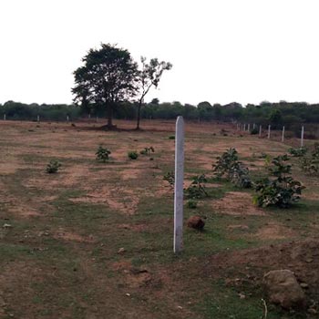 3 Acre Agricultural/Farm Land for Sale in Mahabubnagar, Hyderabad