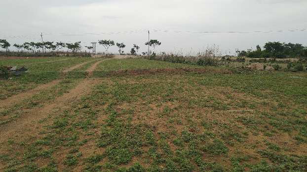 34 Acre Agricultural/Farm Land for Sale in Mahabubnagar, Hyderabad